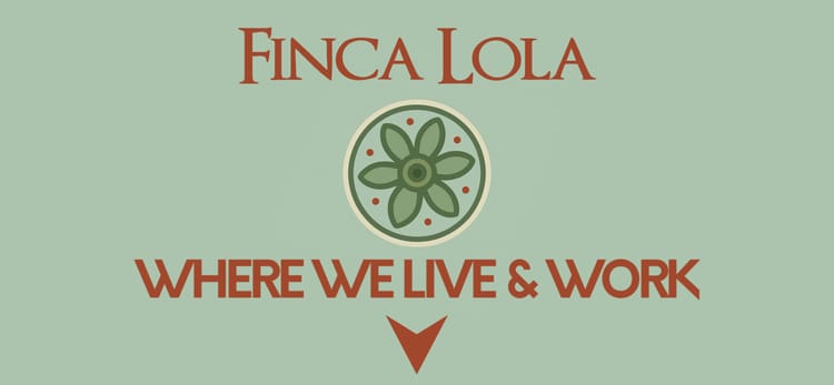 Where We Live, Love & Work