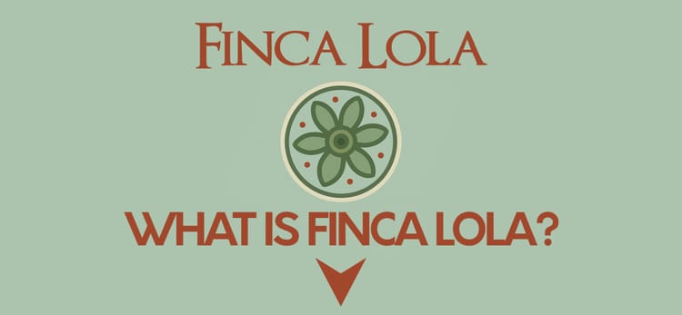 Who We Are & Where We Are Going…