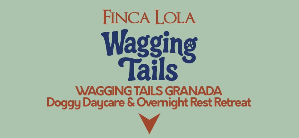 Wagging Tails Doggy Daycare