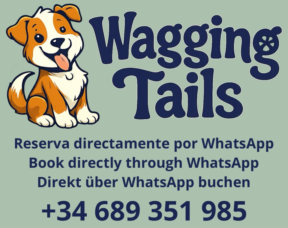 Guardería Canina, Confort y Compañía • Doggy Daycare, Comfort & Companionship